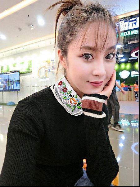 

vintage fashion bead shirt fake collar white sweet temperament collar refined wild printing embroidery decorative