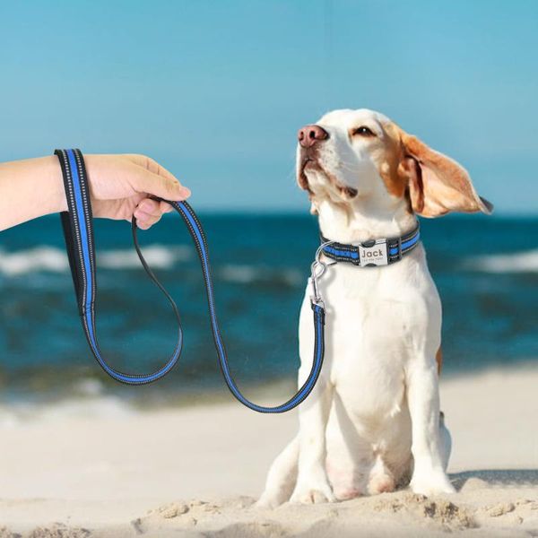 

dog collars & leashes leash lead reflective nylon pet walking running training rope for small medium large dogs durable