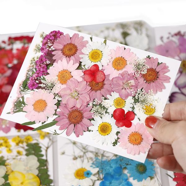 

new diy flowers, dried flowers, matching materials, children's handmade plant specimens, p studio props bbyrcw