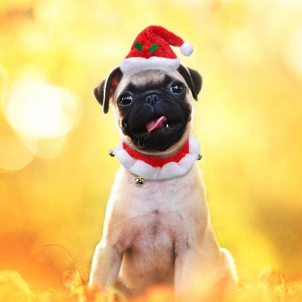 

dog cat hat costume christams dogs hats cap necklace with bell pet supplies for christmas festival dog acc bbyzks
