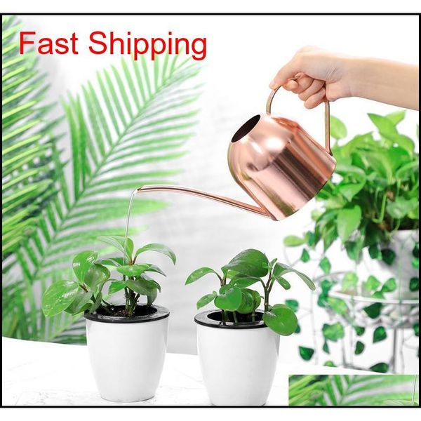 

yardwe 1000ml stainless steel watering can indoor plants succulents long spout watering pot for home garden office ( qylvph bdenet