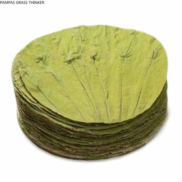 

Pampas Grass Thinker 20pcs High Quality Pure Natural Dried Round Lotus Leaf 20-24cm Raw Color Lotus Leaf Rice Lotus Leaf Drawing