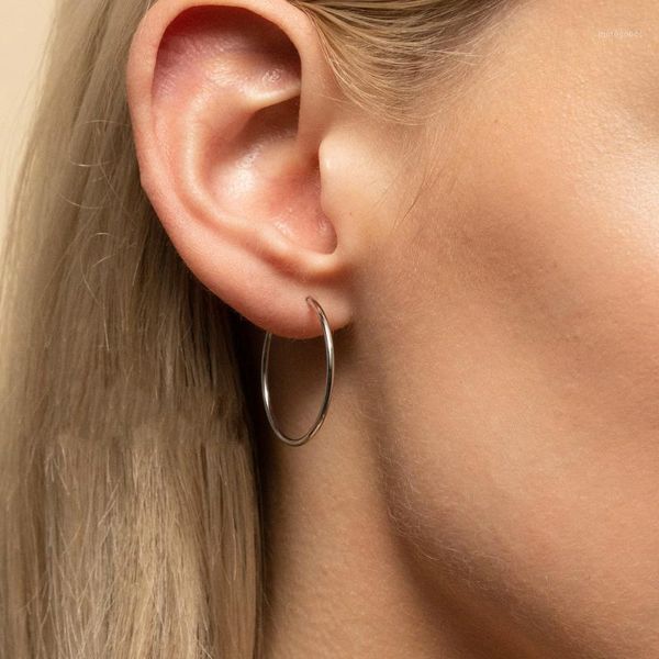 

hoop & huggie earrings for women boho steel gold korean 25mm stainless big earring fashion jewelry couple friends gifts1, Golden;silver