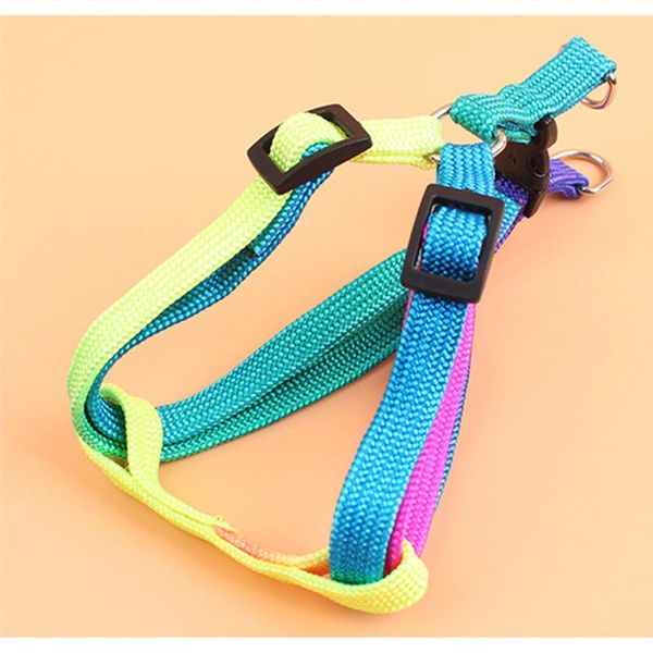 

adjustable pet dog collar and leash set small dog accessories nylon leash harness collar lead colorfull hand strap supply jllgdn homecart