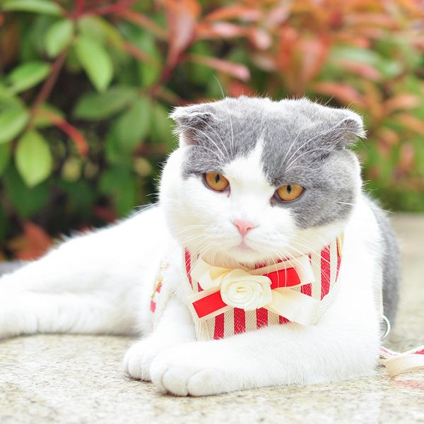 

selling pet collar traction rope for small dogs and cats nylon vest-style chest harness for pet puppy adjustable