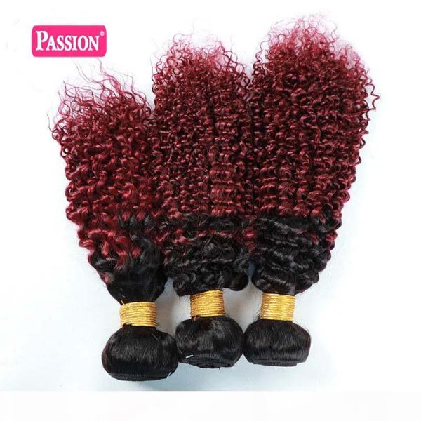 

brazilian ombre burgundy human hair 3 bundles colored 1b 99j two tone kinky curly virgin hair weave brazilian human hair extensions, Black