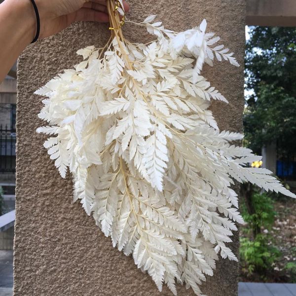 

decorative flowers & wreaths 10pcs/18-25cm nature fresh preserved arachniodes leaf, diy wedding marriage home gift box decoration ,eternell