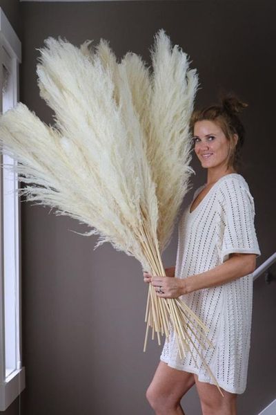 Büyük Pampas Çim Düğün Dekor 130 cm Doğal Kuru Reed Vitrin Noel ShopWindow Dekor Gerçek Bitki 55 ~ 60 cm