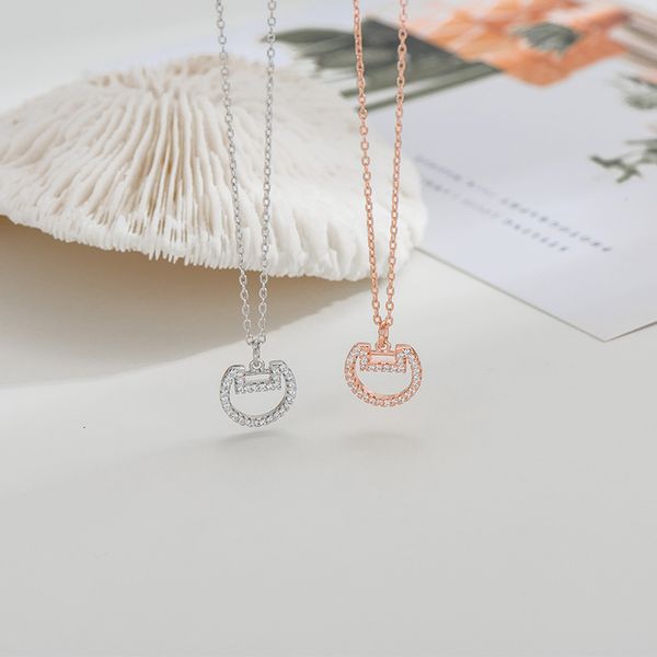 

long life necklace women's 925 sterling silver jewelry small luxury design clavicle chain net red ins cool style accessories