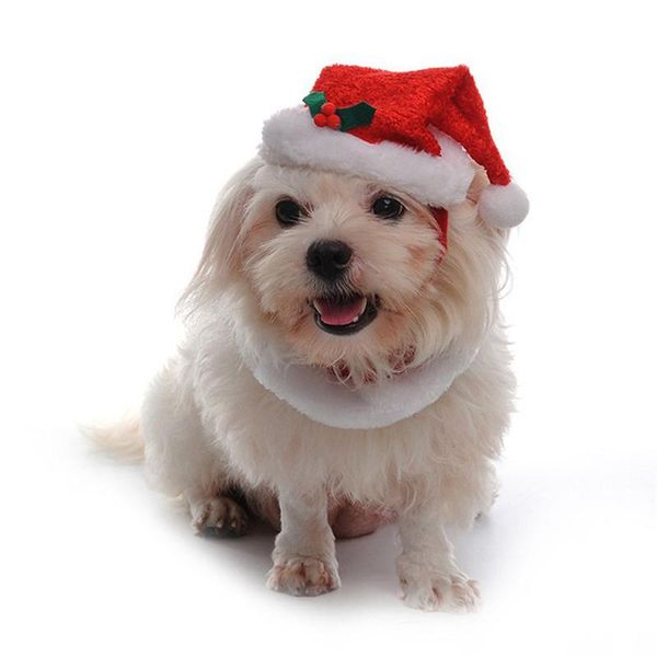 

dog apparel 2021 christmas pet cat xmas santa hat collar bells year cap decorations