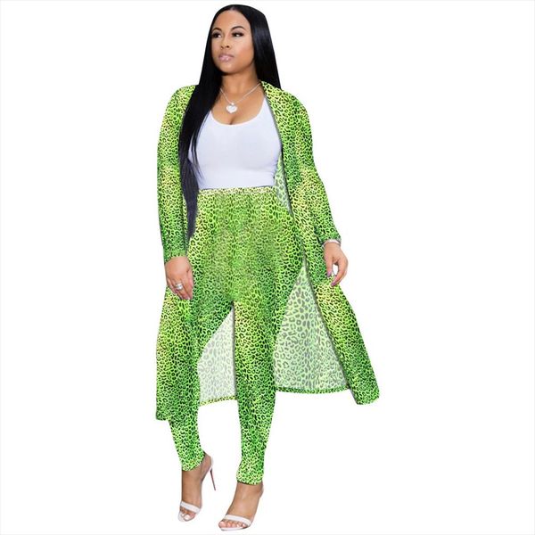 

women tracksuit european and american fashion temperament personality popular long leopard print long coat jacket two piece, Gray