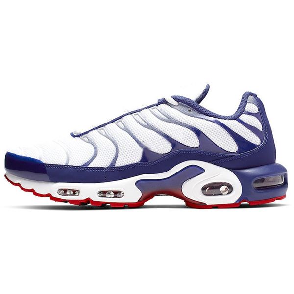 nike tn navy crimson