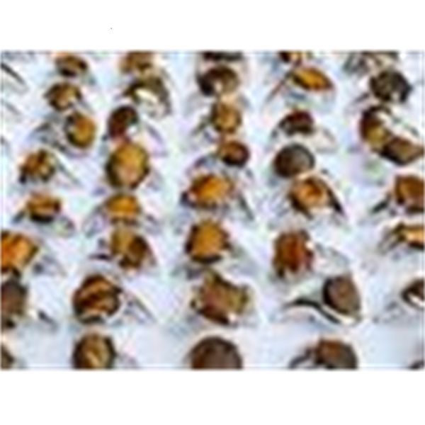 

lots 30factory assorted natural tiger eye gemstone silver p rings jewelry, Golden;silver