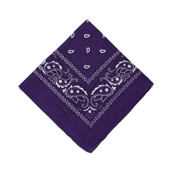 

женщины 100 cotton square scarf hip hop бандан диапазон волосы мужчина шея платки paisley print оголовье vintage карманных полотенца bbyned, Blue;gray