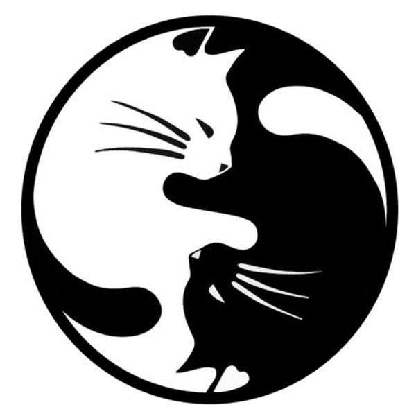 

15 * 15 см yang ying cats мода мультфильм автомобиль наклейка окна украшения личности виниловые наклейки c4-0437