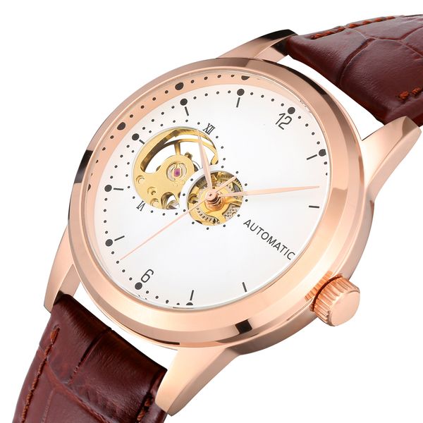 

2 years warranty mechanical watch women gold automatic movement luxury female watches genuine leather band non brand dropship 201116, Slivery;brown