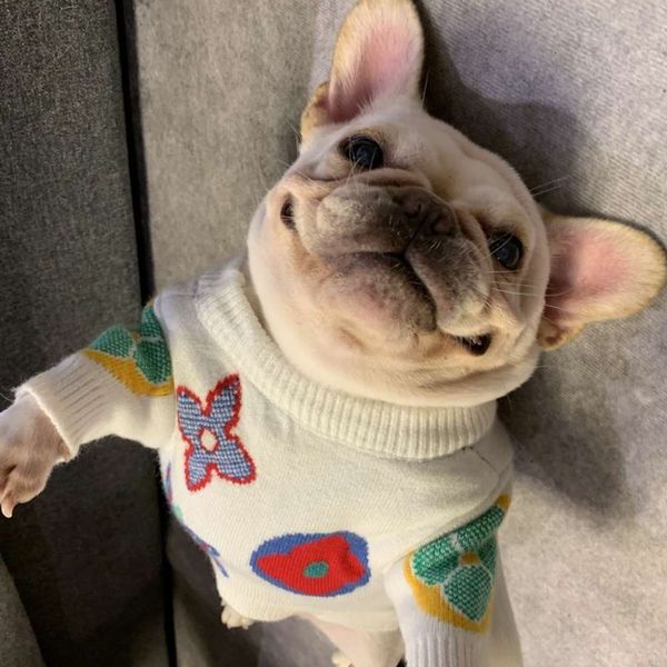 

pet tide brand cloth cat fadou teddy chenery net red dog autumn winter sweater