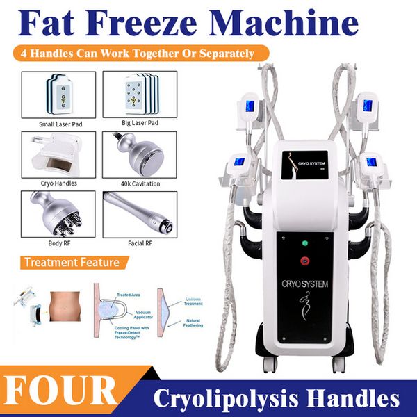 Kryolipolyse-Schlankheits-Multifunktions-Schönheitsausrüstung Cryo Freezefats Kryotherapie-Fettgefrier-Körpermaschine Gewichtsverlust mit Membranverwendung zu verkaufen