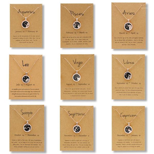 

rose gold color 12 constellation coins necklace women daytime night white black resin virgo taurus leo short chain necklace gift1, Silver
