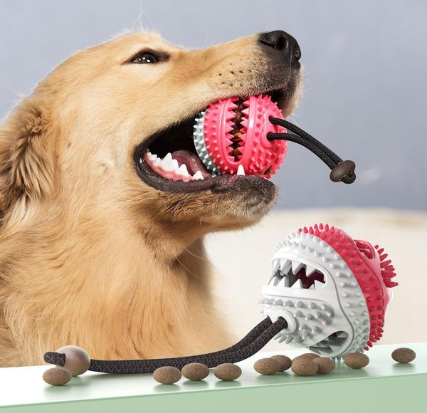 

dispensing pet dog cleaning toy chew toy puppy chew toys dog molar pet ball training toothbrush teeth food bite pets bbybn bwkf