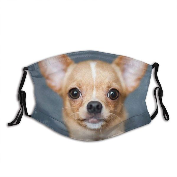 

чихуахуа собака маска респиратор открытый многоразовые маски для парня девушку