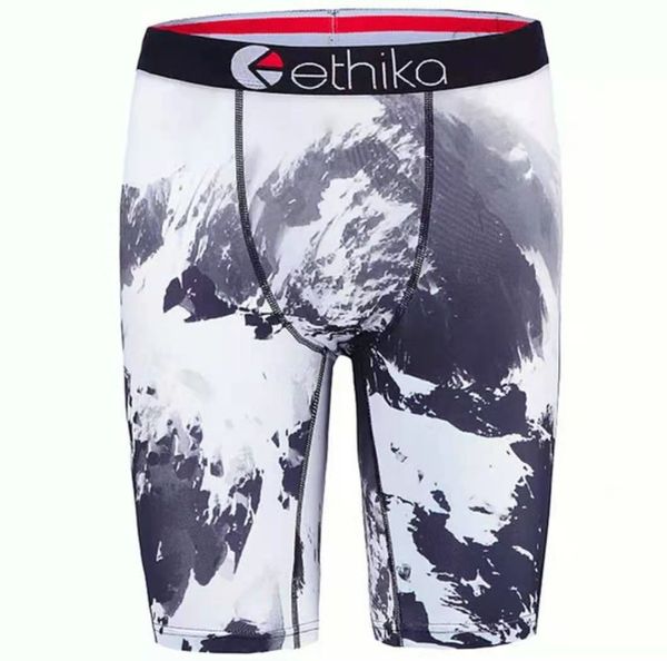 

2020 new arrivals popular shorts printed ethika sporting and casual underwear for men69