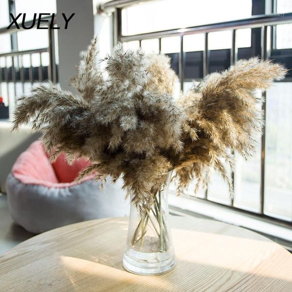 

decorative flowers & wreaths 10pcs 20pcs dried pampas grass decor for home wedding decoration natural grass1