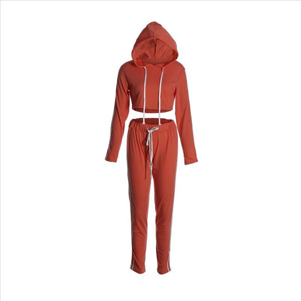 

2pcs women ladies tracksuit hoodies sweatshirt pants wear casual suit womens suit two piece set costume womens tracksuits, Gray