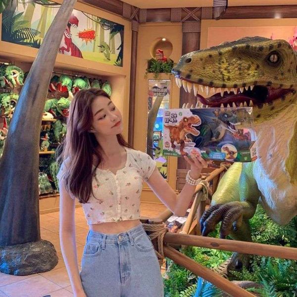 

cut breasted slim wind flower single versatile cardigan short sleeve t-shirt women's autumn fashion, Black;gray