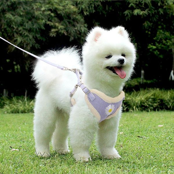 

soft warm pet dog harnesses vest leash set adjustable padded puppy cat harness lead for small medium dogs cats chihuahu sqcxmj