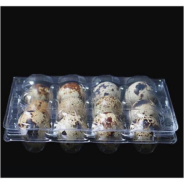 

12 holes quail egg containers plastic clear egg boxes d28mm/h39mm package box holder jllkpl xhlight