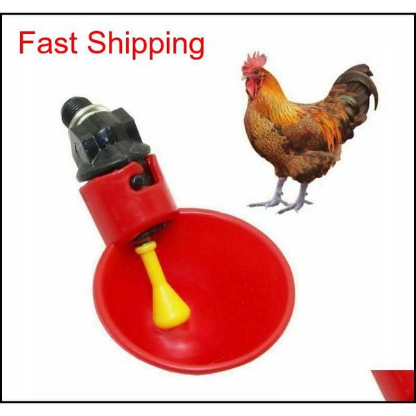 

20 pcs chicken drinking cup matic drinker chicken feeder plastic poultry water drinking cups easy install qylomq toys2010