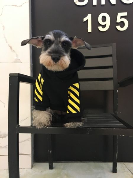 

teddy autumn and winter plush parent child vip bear pet fadouchao brand dog clothing sweater