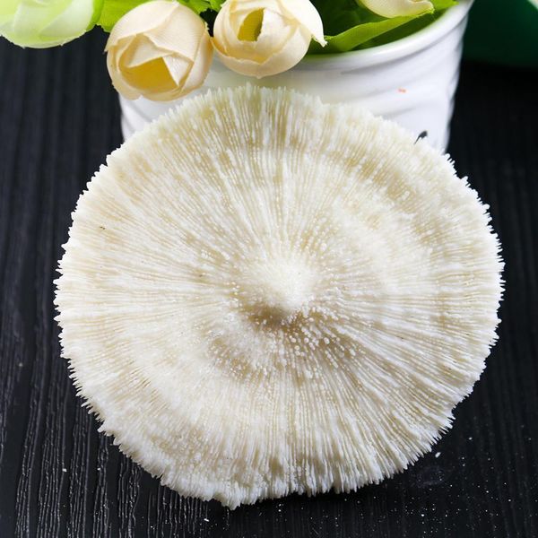 

white coral sea round mushroom coral natural artifical fish aquatic pet supplies aquarium landscape tank ornaments 8 to 10cm h wmtpco