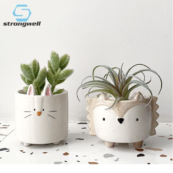 

strongwell succulent ceramic flowerpot hedgehog puppy cute animal flower pot creative mini garden bedroom deskbirth wmtskj