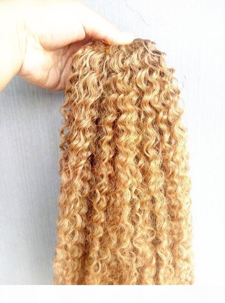 

бразильский human девственницы remy kinky завитые extensions светло-русый 27 # цвет волос уток 2-3bundles для полной головки, Black