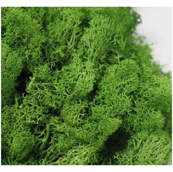 

20g/set artificial plant eternal life moss / garden home decoration wall diy flower material mini garden micro landscap jllgas soif