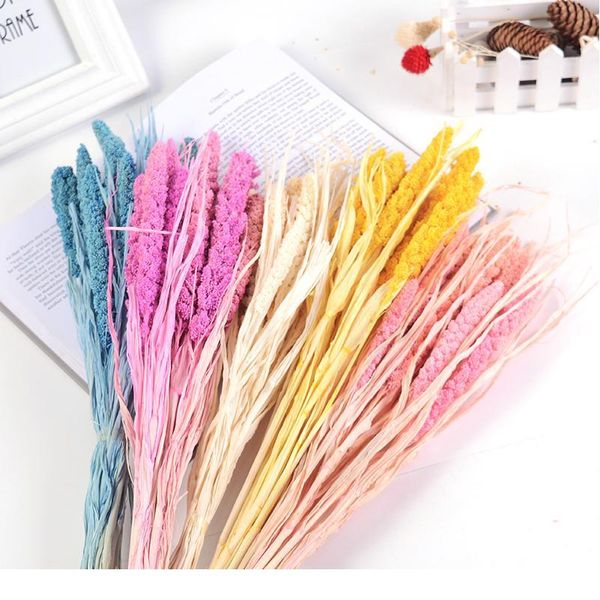 

10pcs natural dried flower grain artificial flower decorative bouquet for home wedding table decoration diy wreath fak jllsgq