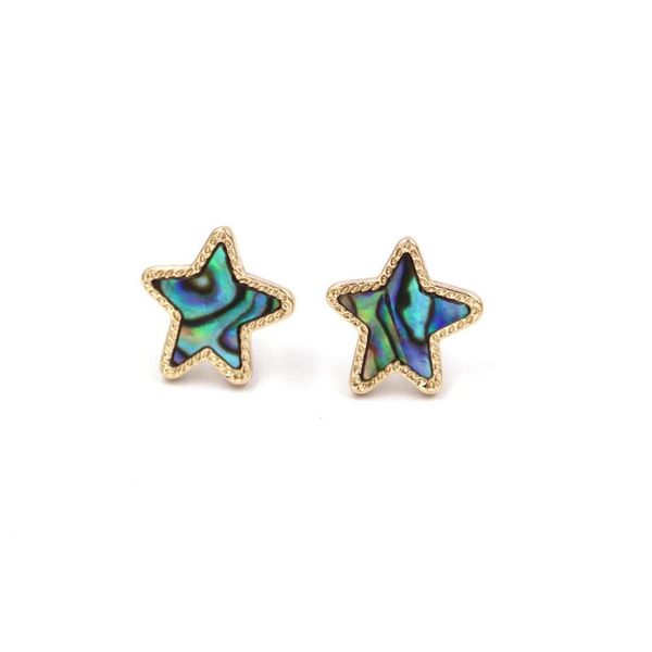 

fashion geometric star resin druzy stud earrings for women, Golden;silver