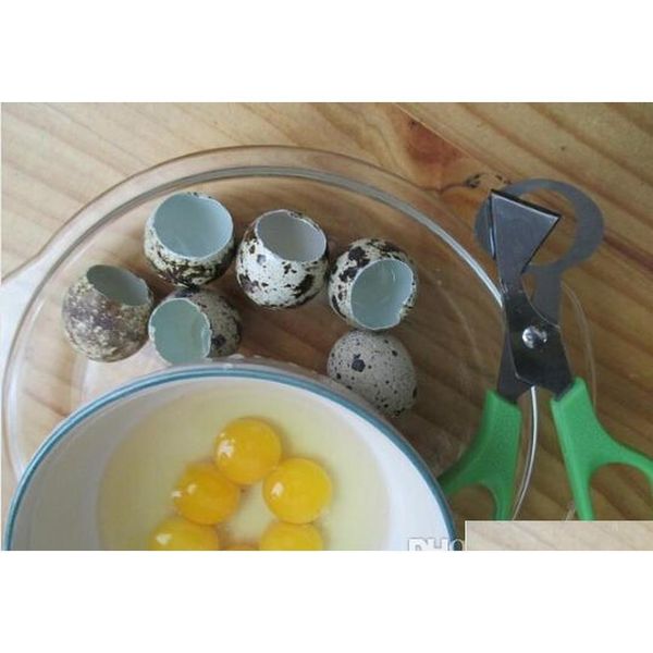 

500pcs pigeon quail egg scissor stainless steel bird cutter opener kitch jllvsz homeindustry