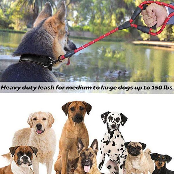 

dog leads traction rope belt reflective round double flower stripe handle nylon basic leashes for medium large pet