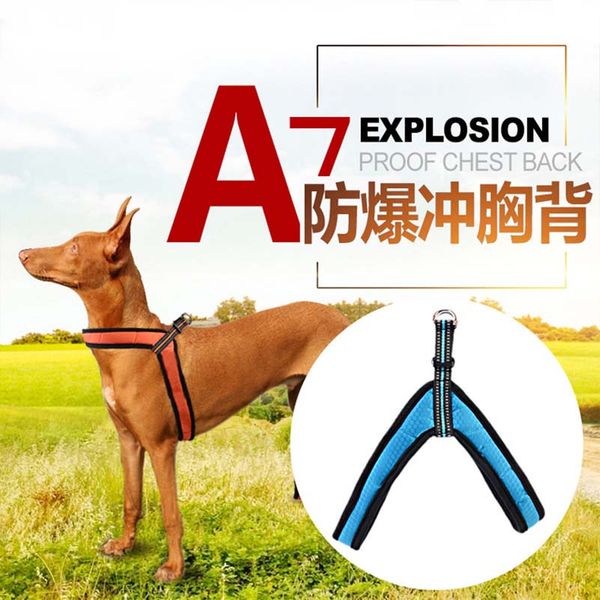 

dog collars & leashes pet products illuminate large harnesses leads