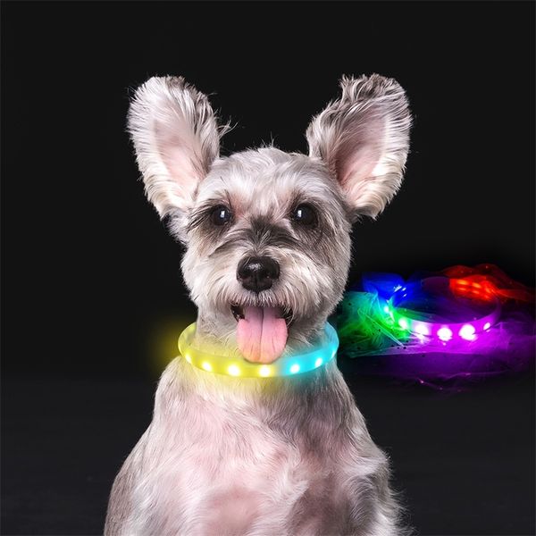 Lâmpada de corrida de cavalos LED Cão Collar Hi-Tech 14 Modos Collar Flash para Cães USB Carregando Anti-Perdido Colar De Silicone Pet Products LJ201113