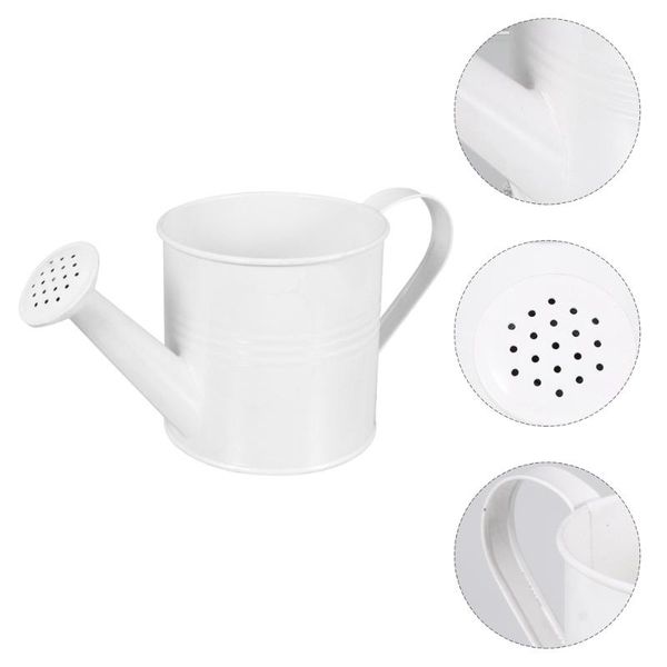 

watering pot indoor outdoor flowers succulent watering can with spray spout