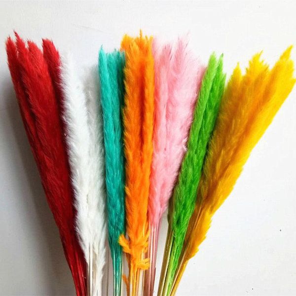 

decorative flowers & wreaths 15pcs natural pampas grass reed dried phragmites communis wedding flower bunch diy artificial home decor