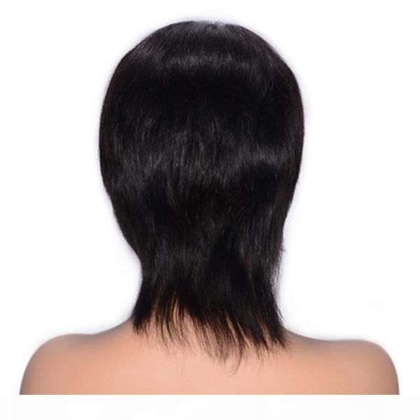 

malaysian human hair lace front wig natural color virgin straight hair wig with baby hair 130% density, Black;brown