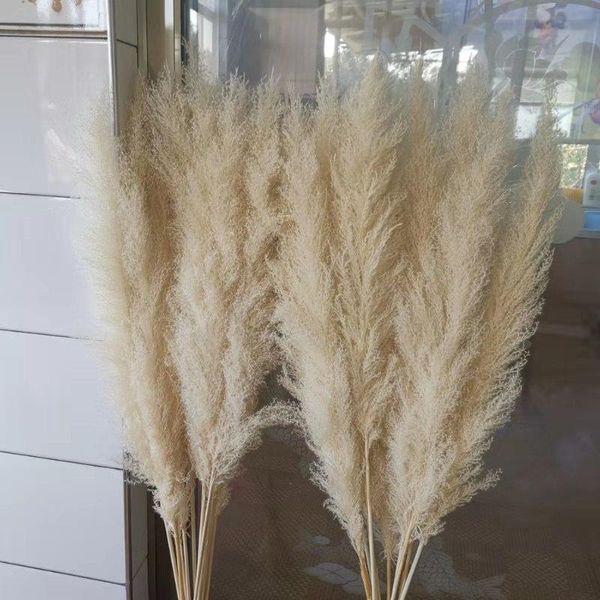 

3pcs 55cm/80cm natural reed dried flower big pampas grass bouquet wedding flower ceremony decoration modern home decoration