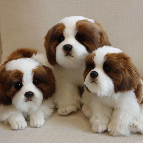

doll dog toy cute poodle simulation plush 660x