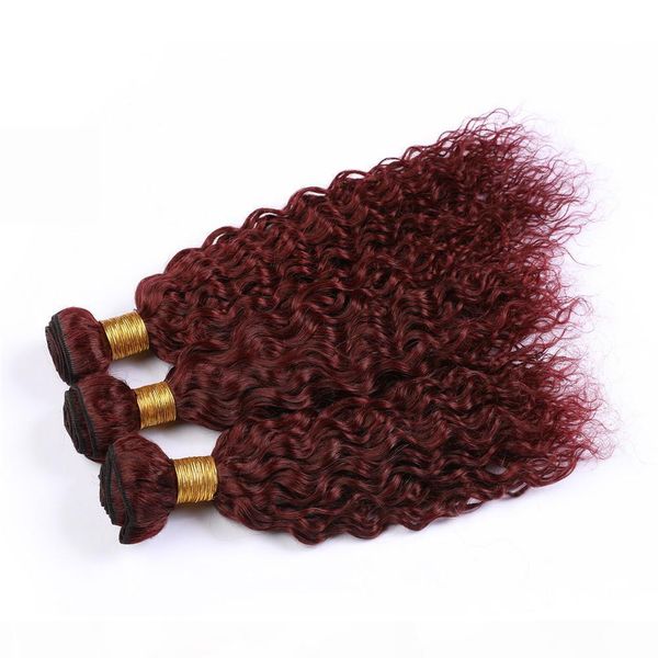 

wet and wavy human hair bundles burgundy virgin hair extensions pure 99j malaysian human hair water wave weave bundles 3pcs lot mixed length, Black;brown