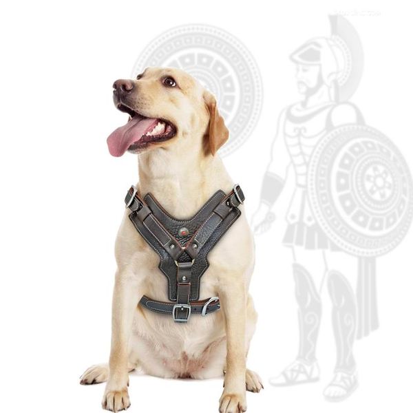 

large dogs genuine leather harness durable adjustable dog vest harnesses quick control with handle pet supplies for k9 sqcusx